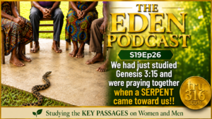 Theedenpodcast S19Ep26