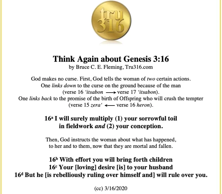 What does Genesis 3:16 say? Reason for the Tru316 Foundation!