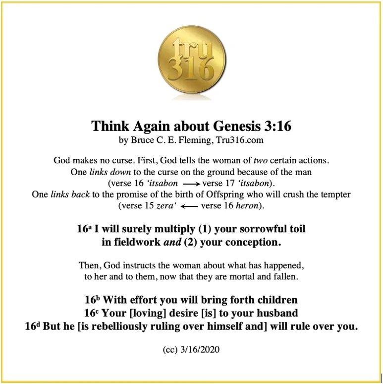 What Does Genesis 3 16 Say? Reason For The Tru316 Foundation!